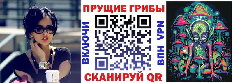 Псилоцибиновые грибы MAGIC MUSHROOMS  Пыталово 